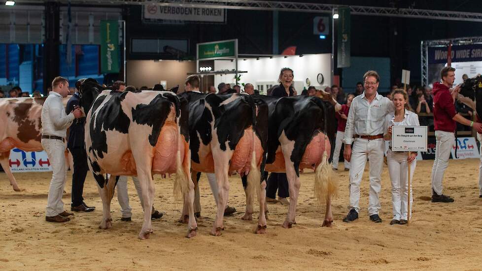 Bij de strijd tussen de bedrijfscollecties trok Steegink opnieuw aan het langste eind. Hij pakte de titel met een uniforme groep goedgebouwde en zeer goed afgewerkte jonge koeien, aangevoerd door algemeen en middenklaskampioene Angelina.