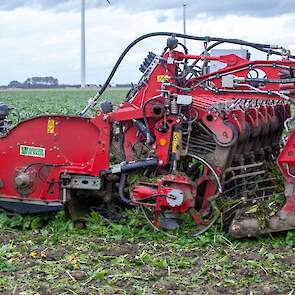 Door de natheid was de aanvoer van de bieten bij Cosun Beet Company afgelopen week niet meer mooi verdeeld over het land. Vanuit Noord-Holland, Texel en Friesland kwamen weinig tot geen bieten binnen, omdat daar vrijwel niet gerooid kon worden. Dat werd g