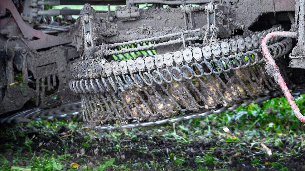 Elk nadeel heeft zijn voordeel: de grond is hier zo nat dat deze amper blijft plakken aan de bieten.