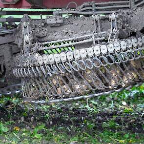 Elk nadeel heeft zijn voordeel: de grond is hier zo nat dat deze amper blijft plakken aan de bieten.