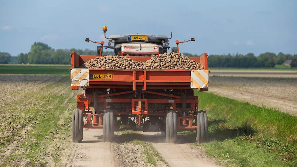 Op het gebied van mechanisatie is de maatschap bijna zelfvoorzienend. De aardappelen worden gepoot met een vierrijige Structural.