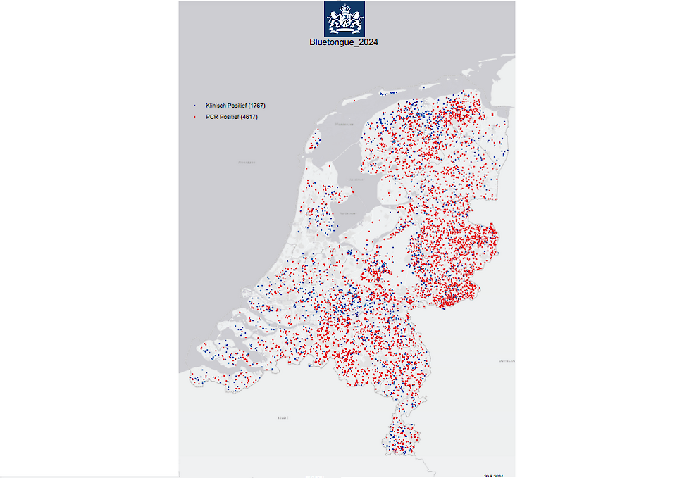 Overzicht blauwtongbesmettingen op donderdag 29 augustus.