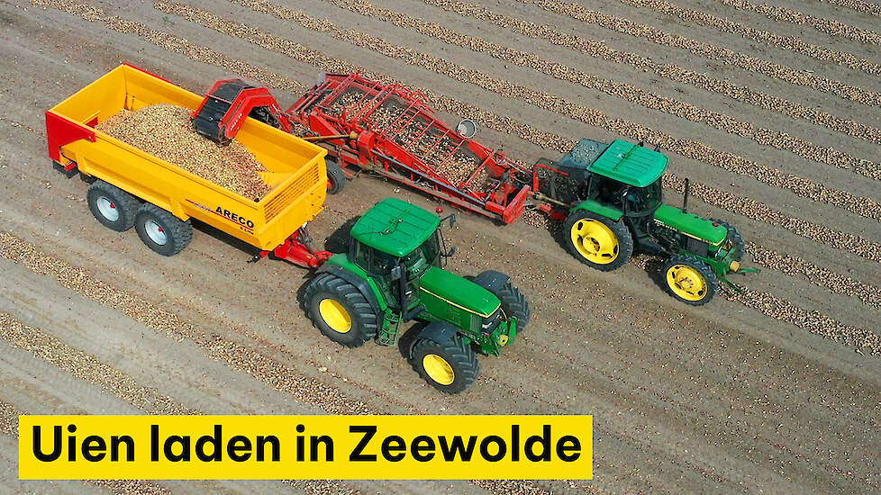 Uien laden in Zeewolde