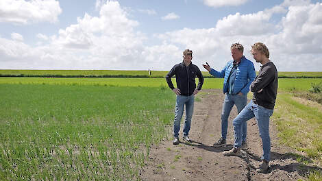 Veel voordelen voor samenwerking tussen akkerbouw en melkveehouder