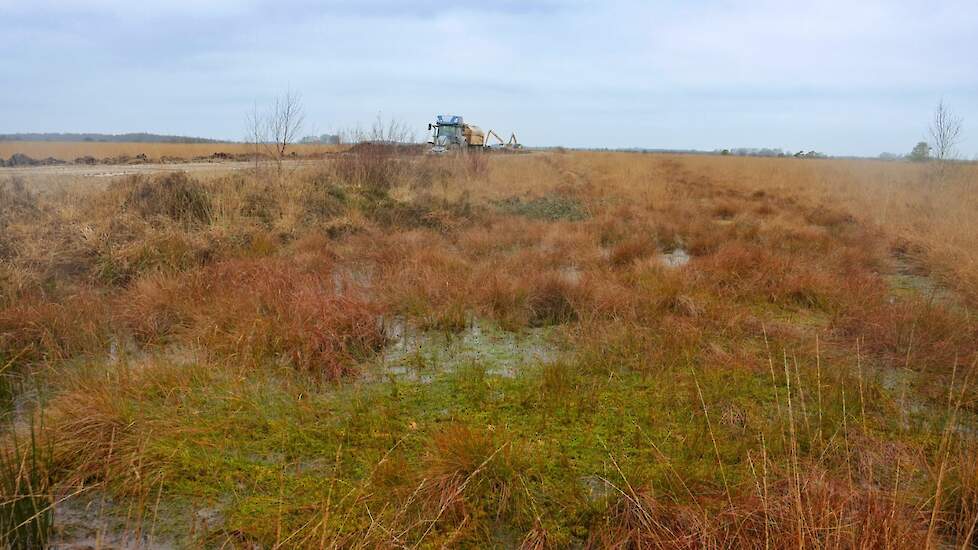 Twee elektrische kranen graven in het kwetsbare hoogveen.