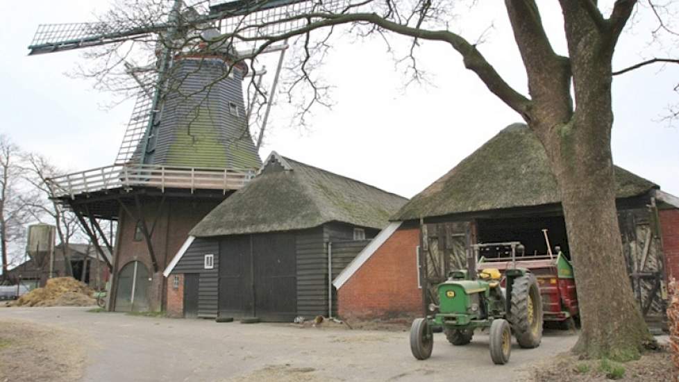 De drie ‘boosdoeners’: de twee 19e eeuwse schuren en de molen. Nog steeds wordt de molen gebruikt om zelfverbouwd graan tot veevoer te vermalen. In de schuren staat jongvee.