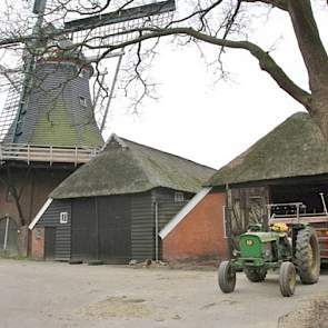 De drie ‘boosdoeners’: de twee 19e eeuwse schuren en de molen. Nog steeds wordt de molen gebruikt om zelfverbouwd graan tot veevoer te vermalen. In de schuren staat jongvee.