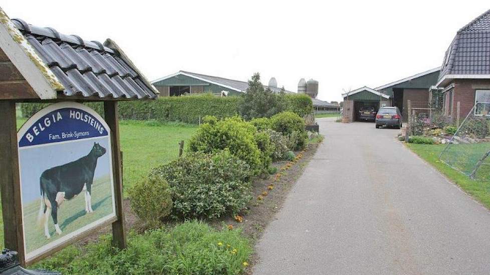 Het bedrijf werd overgenomen van Irma's ouders. Zij kwamen oorspronkelijk uit Belgie. Van daar 'Belgia Holsteins'.