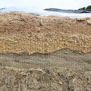 Speciaal voor de zomer heeft de familie een kleine mengkuil van gras, mais en bierbostel. Zo onstaat minder snel broei.