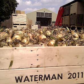 handelaar Waterman neemt de uien af maar vertelt pas later tegen welke prijs