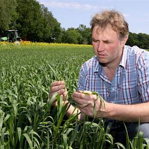 Emmens teelt 20 hectare zomergranen. Net als bij het binnenhalen van de aardappelen en het  rooien van de bieten werkt hij ook bij de graanoogst samen met collega-akkerbouwers.