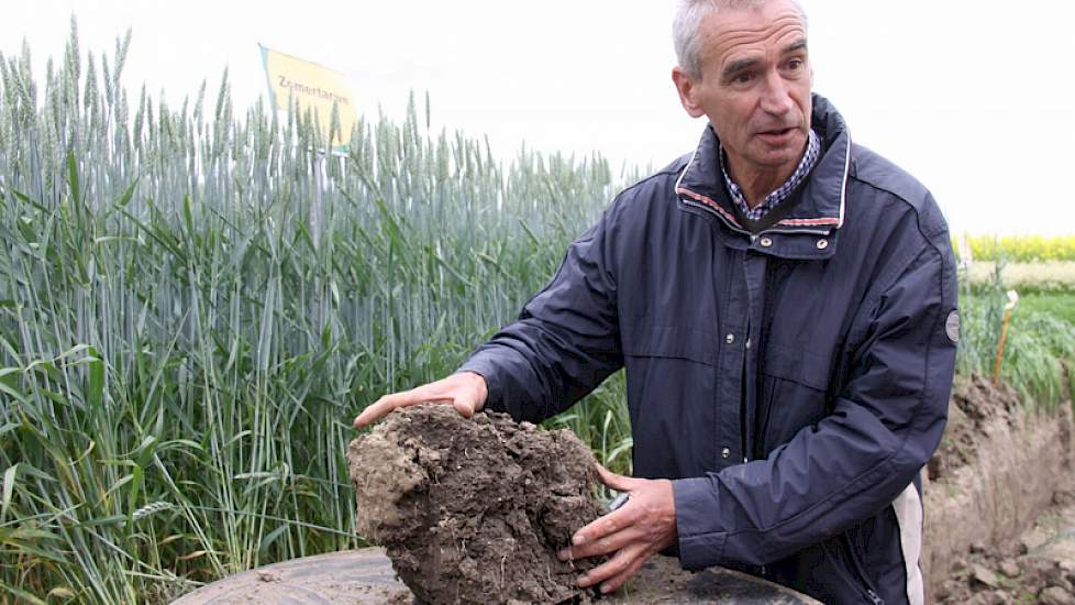 Koen Terberg maakt duidelijk dat er dankzij tarwe ontsluiting is, dat de bodem luchtig is en draineert.