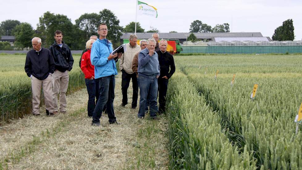 Ook in de onbehandelde Expert zijn fusarium en sneeuwschimmel zichtbaar. „Tabasco had eigenlijk apart tijdens de bloei moeten worden gespoten, maar het is een gezond ras.”